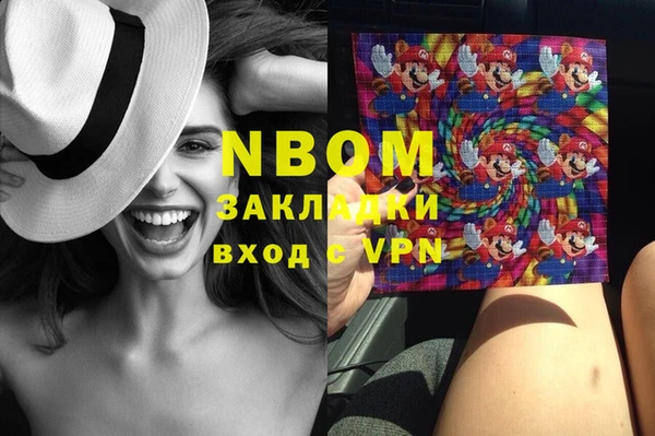 хмурый Белокуриха