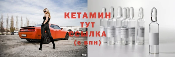хмурый Белокуриха
