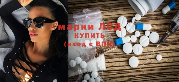 хмурый Белокуриха