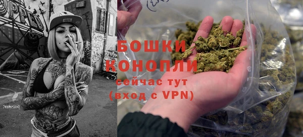 хмурый Белокуриха