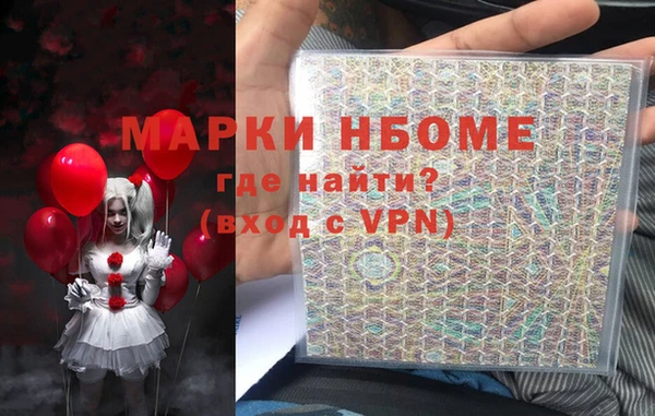 хмурый Белокуриха