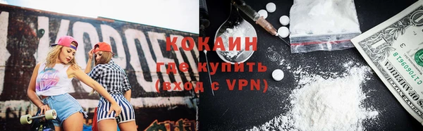 хмурый Белокуриха