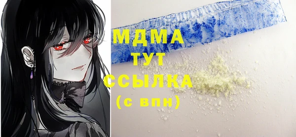 хмурый Белокуриха