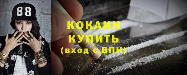 хмурый Белокуриха