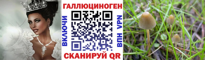 гидра   Гусев  Галлюциногенные грибы GOLDEN TEACHER 