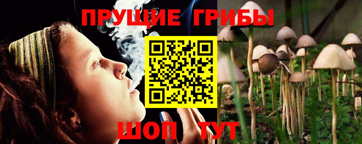 Галлюциногенные грибы GOLDEN TEACHER Гусев